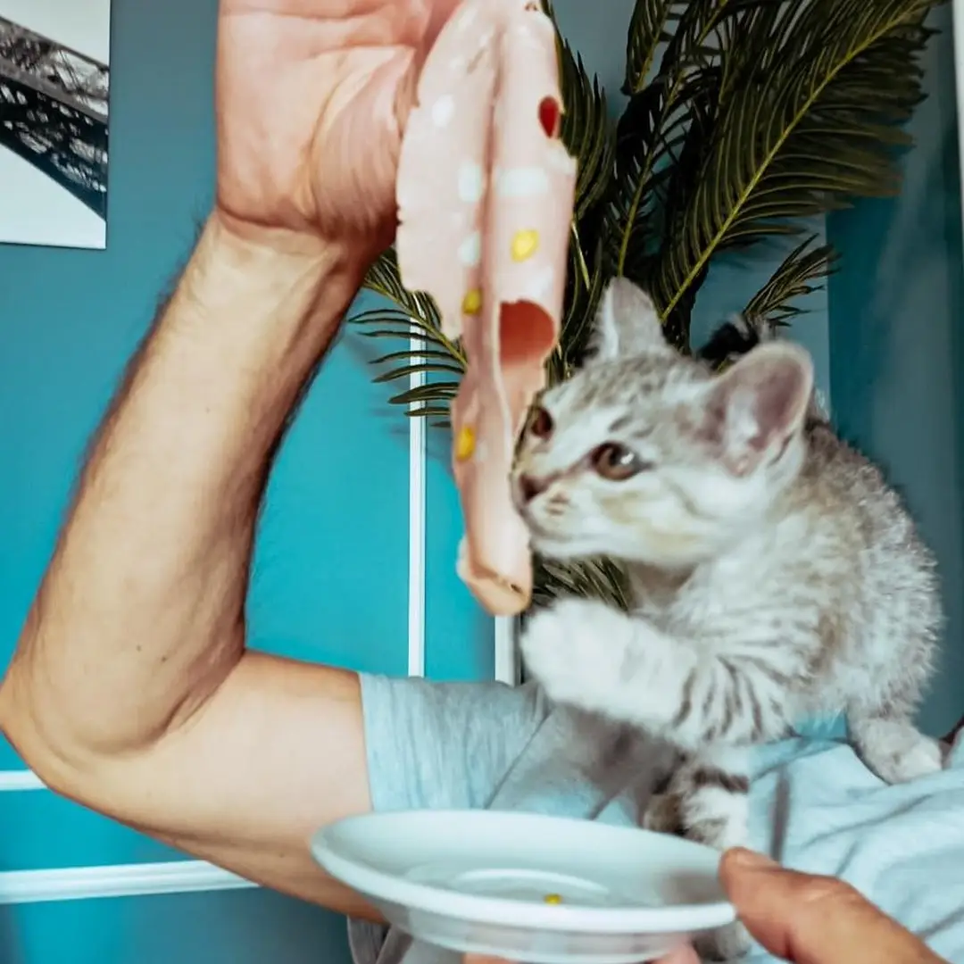 Produse italiene Da Massimo Cristian 2